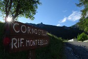 Anello Corno Stella e i suoi laghi da Foppolo, solo, in compagnia degli stambecchi il 7 luglio 2018 - FOTOGALLRY